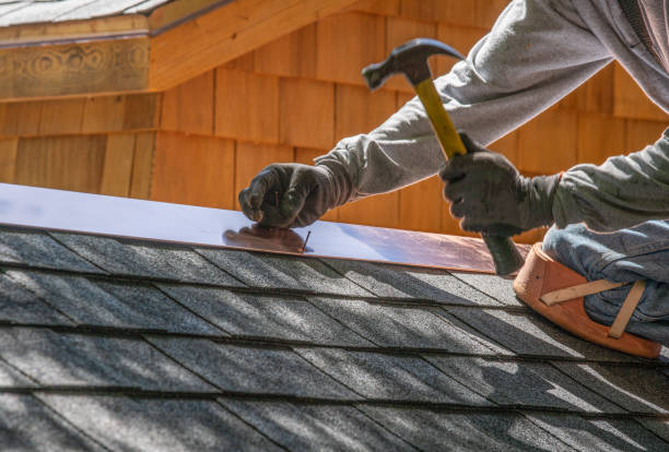 Best Roof Moss and Algae Removal  in Kuna, ID