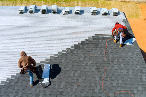 Best Roof Moss and Algae Removal  in Kuna, ID